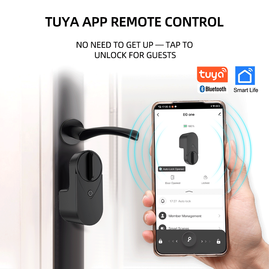 RAYKUBE EG One Tuya BLE Smart  - Home Security For Apartments avis et prix
